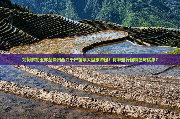 玉林去贵州西江千户苗寨大型旅游团