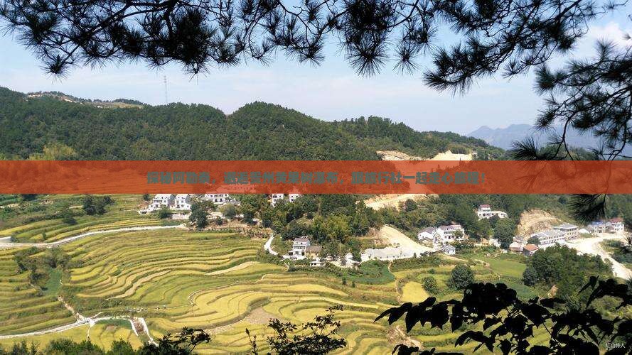 阿勒泰到贵州黄果树瀑布旅行社