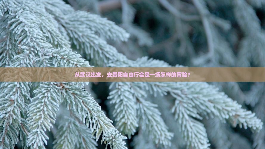 武汉去贵州贵阳自由行