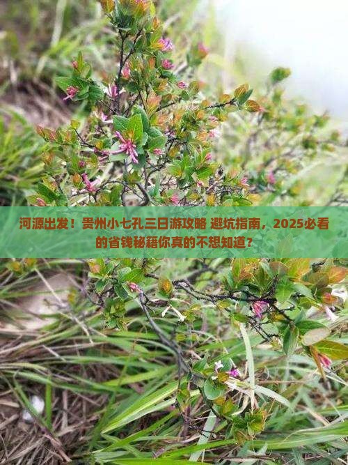 河源去贵州小七孔三日游