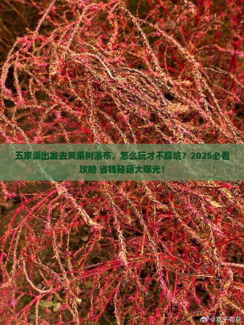 五家渠到贵州黄果树瀑布旅行社