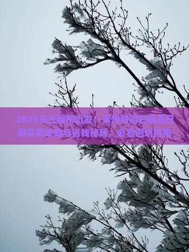 乌兰察布到贵州青岩古镇五日游
