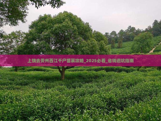 上饶去贵州西江千户苗寨攻略