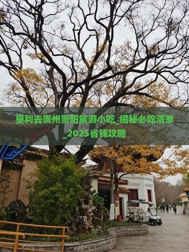 垦利去贵州贵阳旅游小吃