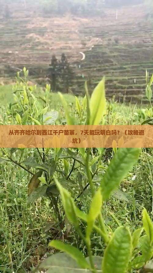 齐齐哈尔去贵州西江千户苗寨七日游