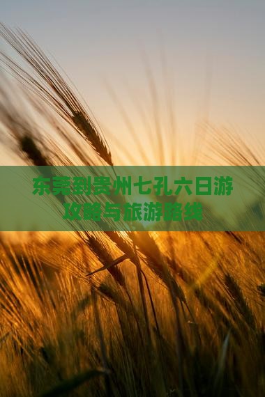 东莞到贵州小七孔六日游