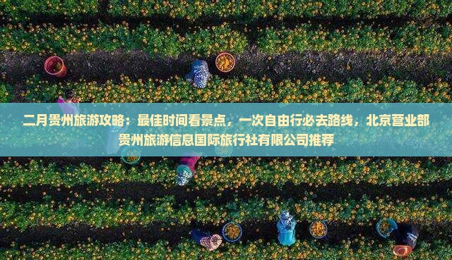 二月到贵州哪里玩
