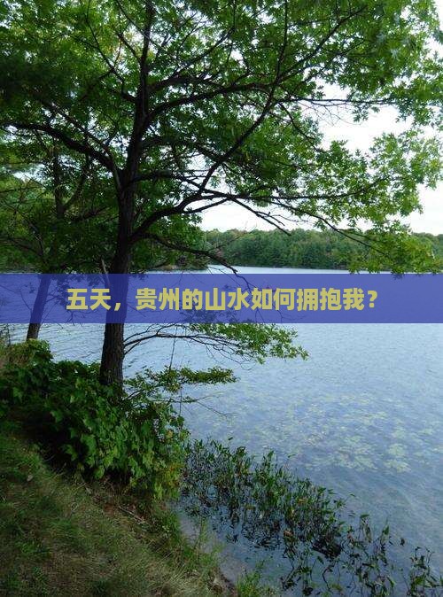 五月到贵州五日游