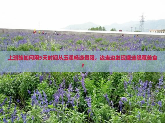 玉溪到贵州贵阳个人游