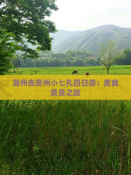 潮州去贵州小七孔四日游