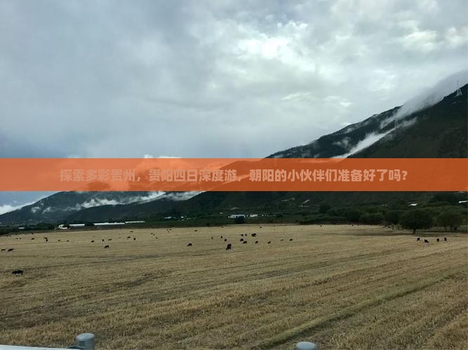 朝阳去贵州贵阳四日游