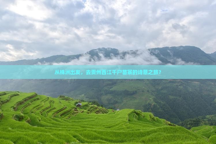 株洲到贵州西江千户苗寨旅游