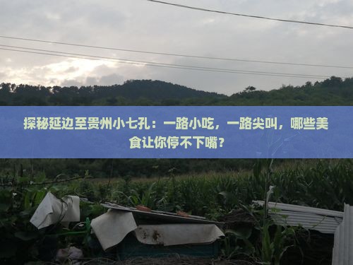 延边到贵州小七孔旅游小吃