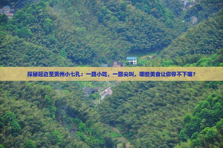 延边到贵州小七孔旅游小吃