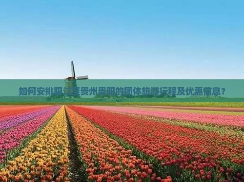 阳江到贵州贵阳团体旅游