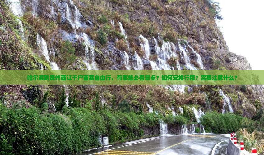 哈尔滨到贵州西江千户苗寨自由行