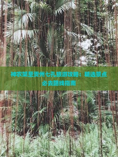 神农架到贵州小七孔必去地