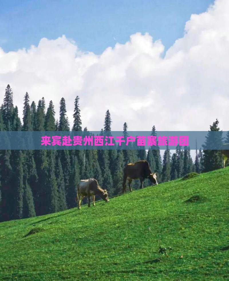 来宾去贵州西江千户苗寨大型旅游团