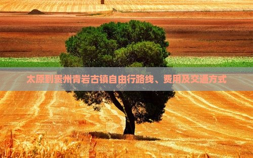 太原到贵州青岩古镇自由行