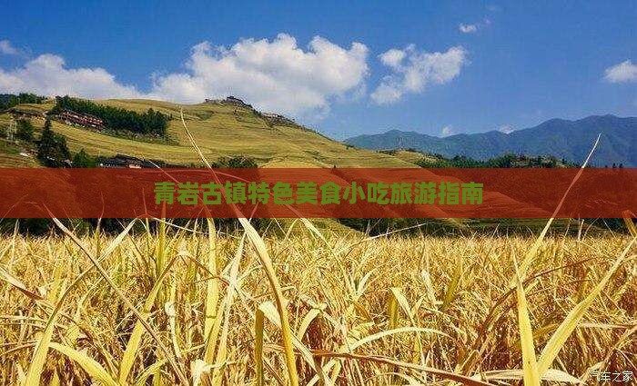 南通到贵州青岩古镇旅游小吃