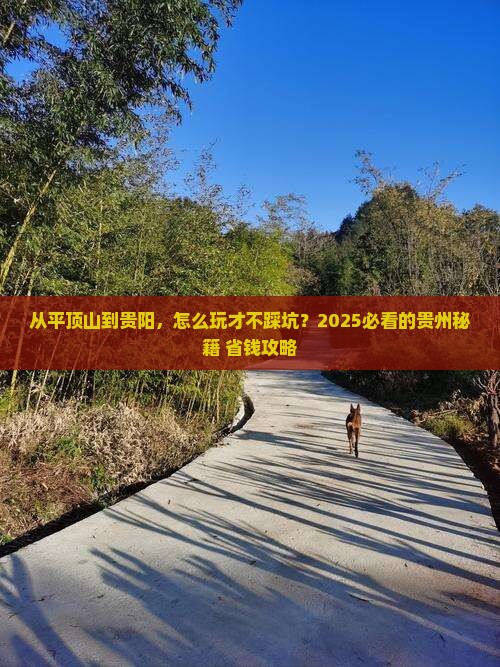 平顶山去贵州贵阳哪里玩
