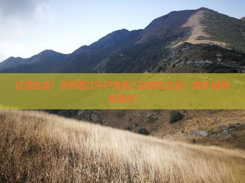 辽源到贵州西江千户苗寨二日游