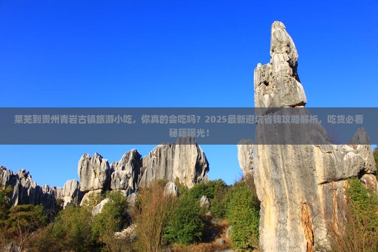 莱芜到贵州青岩古镇旅游小吃