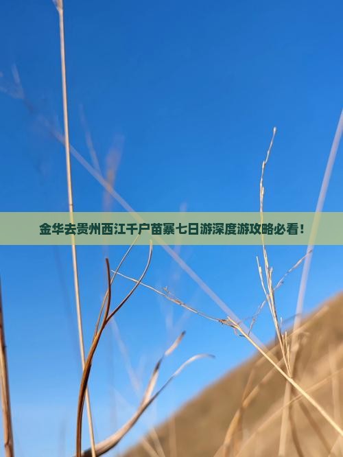 金华去贵州西江千户苗寨七日游