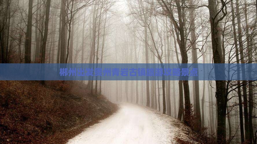 郴州去贵州青岩古镇景点