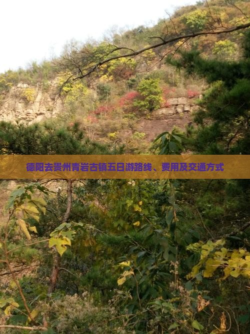 德阳去贵州青岩古镇五日游