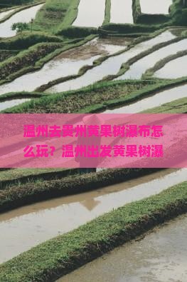 温州去贵州黄果树瀑布旅游