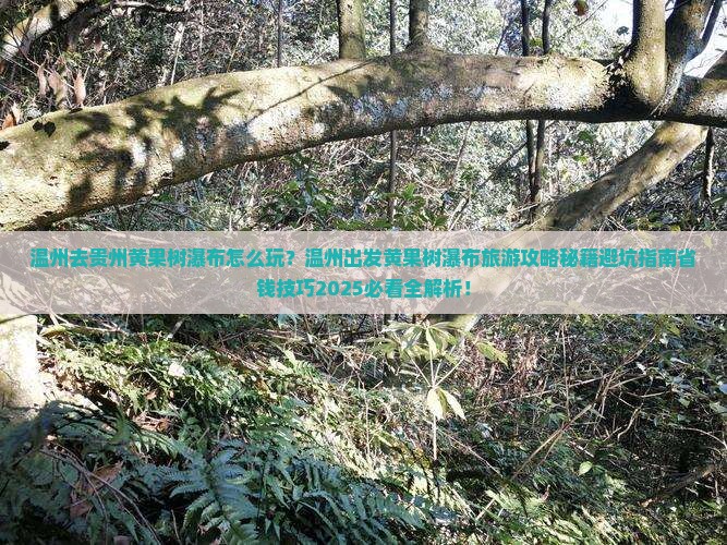 温州去贵州黄果树瀑布旅游