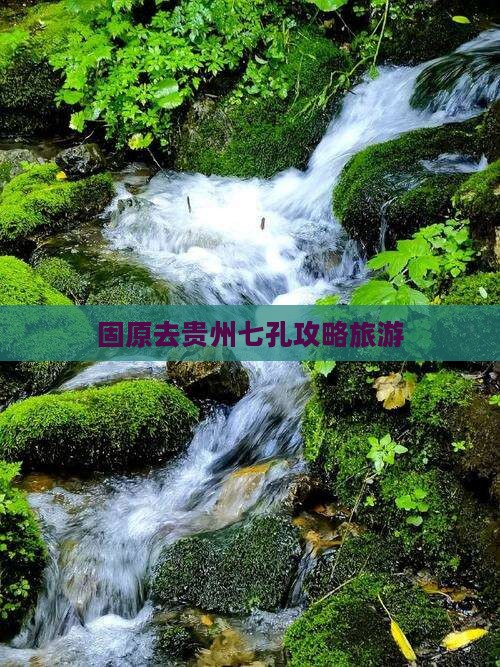 固原去贵州小七孔个人游