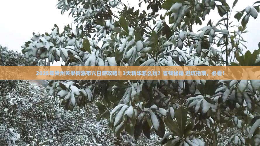 四月去贵州黄果树瀑布六日游