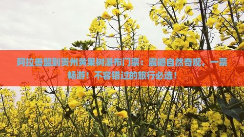 阿拉善盟到贵州黄果树瀑布门票