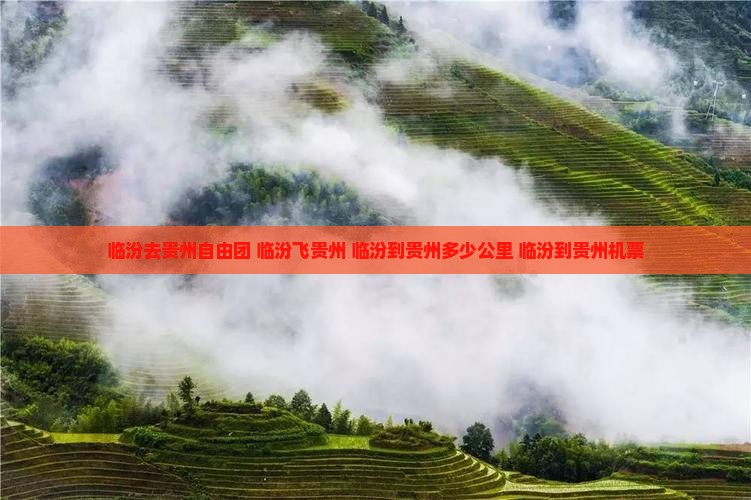 临汾去贵州自由团