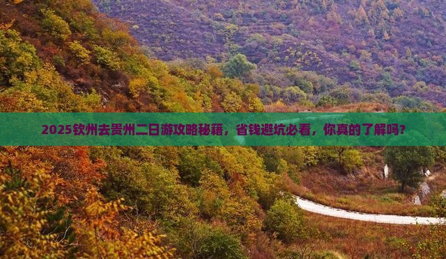 钦州去贵州二日游 钦州去贵州二日游