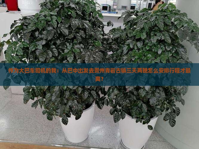 巴中到贵州青岩古镇三日游