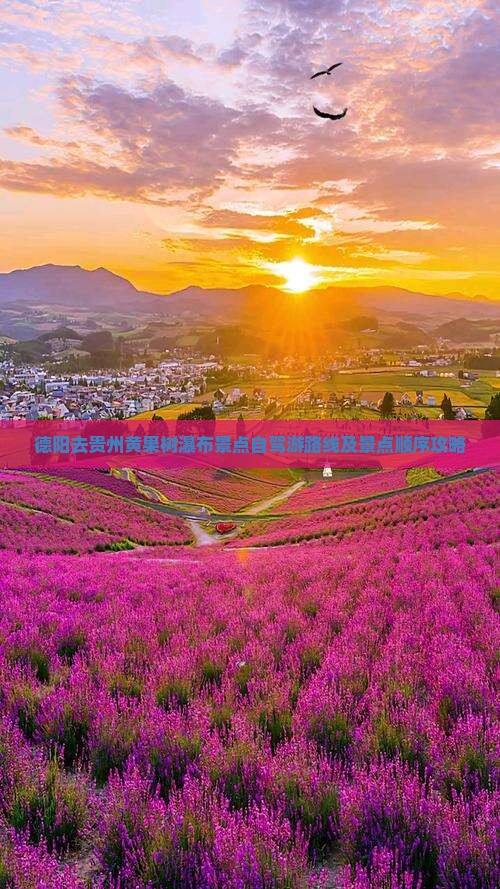 德阳去贵州黄果树瀑布景点