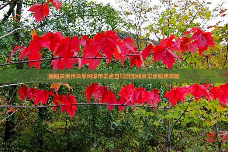 德阳去贵州黄果树瀑布景点