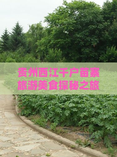湘西到贵州西江千户苗寨旅游小吃