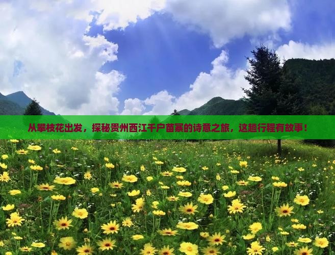 攀枝花去贵州西江千户苗寨五日游 攀枝花去贵州西江千户苗寨五日游