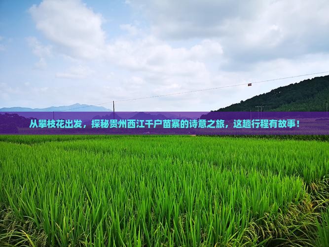 攀枝花去贵州西江千户苗寨五日游 攀枝花去贵州西江千户苗寨五日游