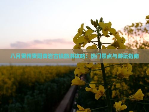八月去贵州青岩古镇攻略