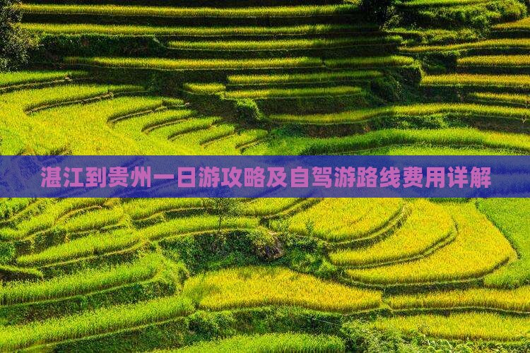 湛江到贵州一日