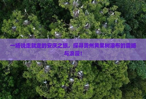 安庆到贵州黄果树瀑布自由行