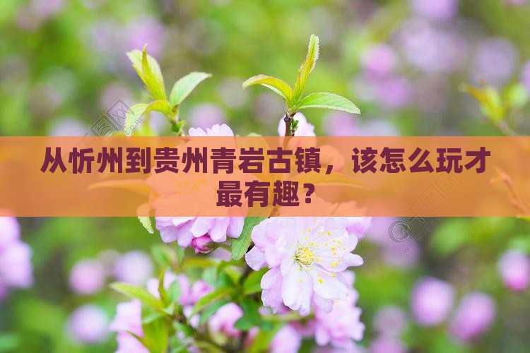 忻州去贵州青岩古镇哪里玩