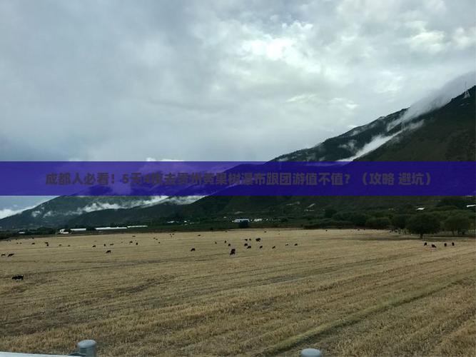 成都去贵州黄果树瀑布大型旅游团