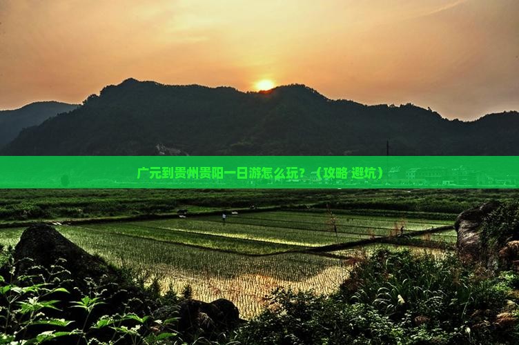 广元到贵州贵阳一日