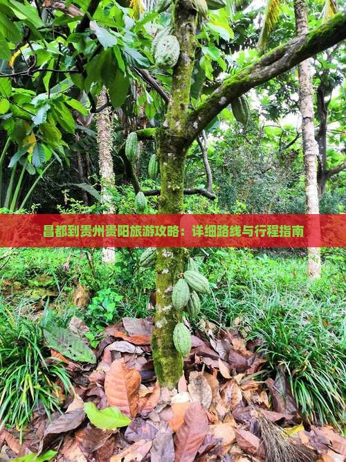 昌都到贵州贵阳攻略